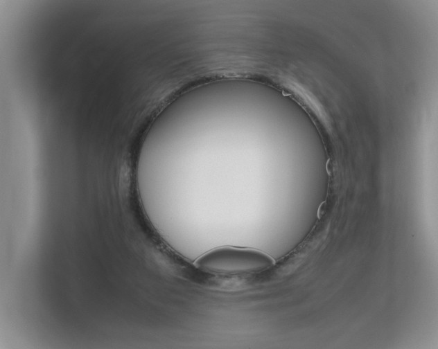 X0000112490113200908170959