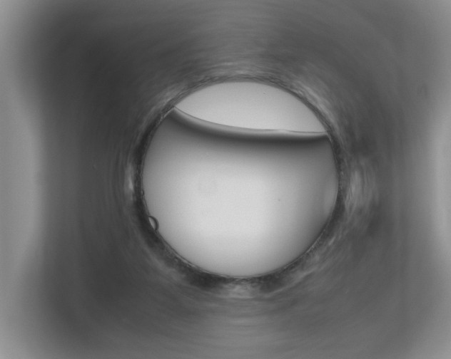 X0000112490115200908170959
