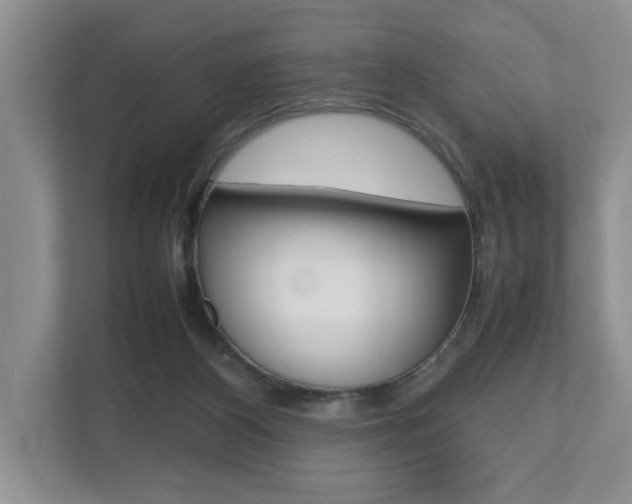 X0000112490116200908170959