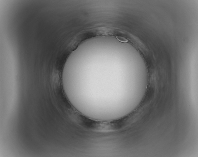 X0000112490121200908170959