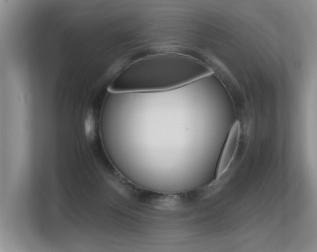 X0000112490124200908170959