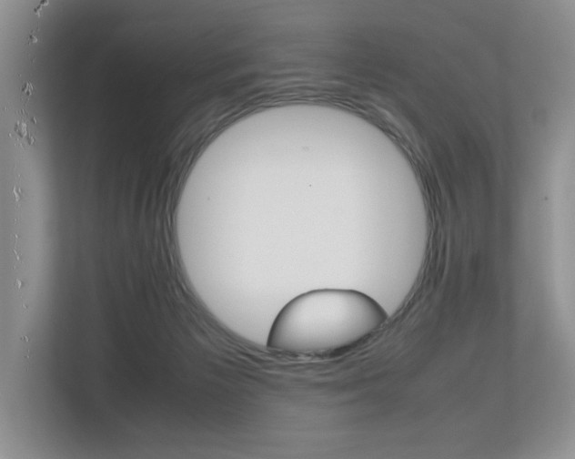 X0000112490125200908170959
