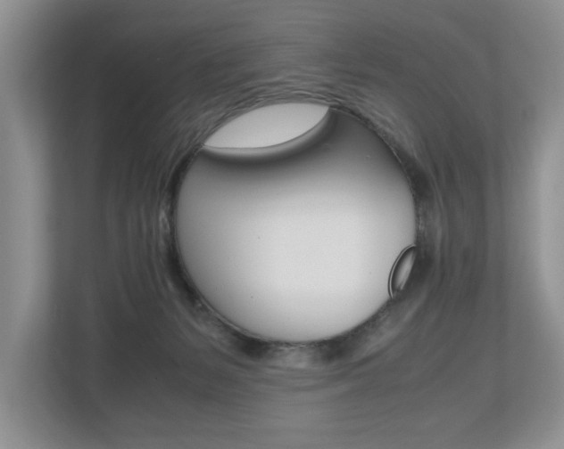 X0000112490127200908170959