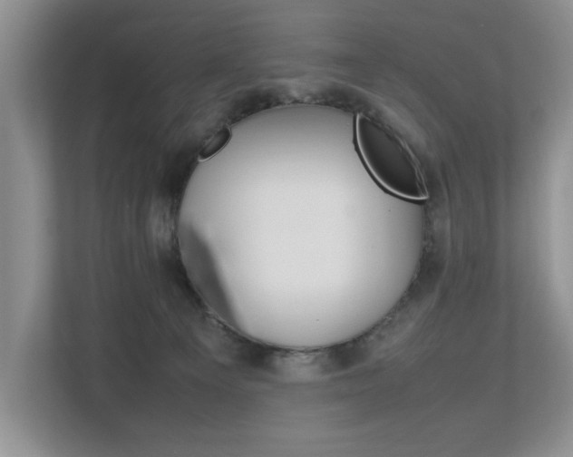 X0000112490129200908170959