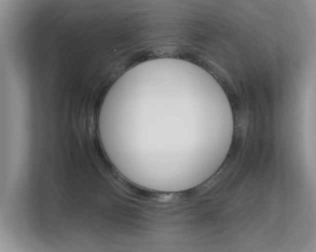X0000112490130200908170959
