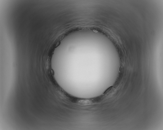 X0000112490133200908170959