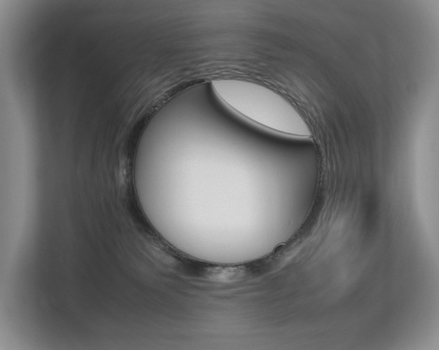 X0000112490135200908170959
