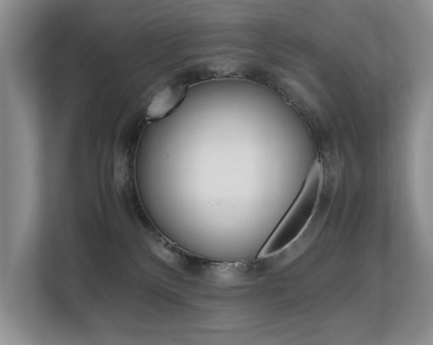 X0000112490136200908170959