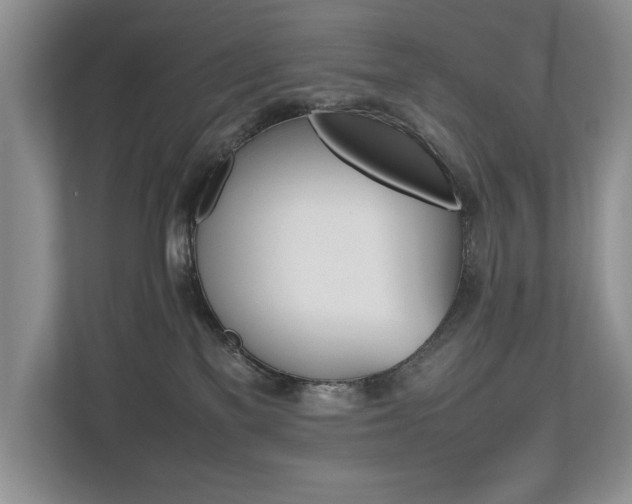 X0000112490137200908170959