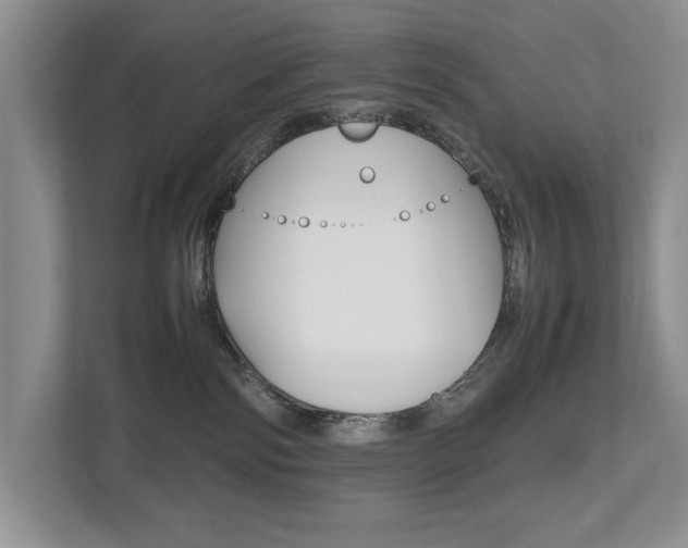 X0000112490138200908170959