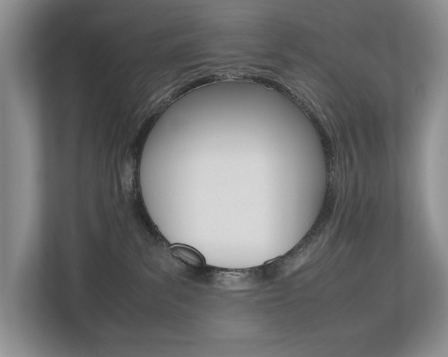 X0000112490139200908170959