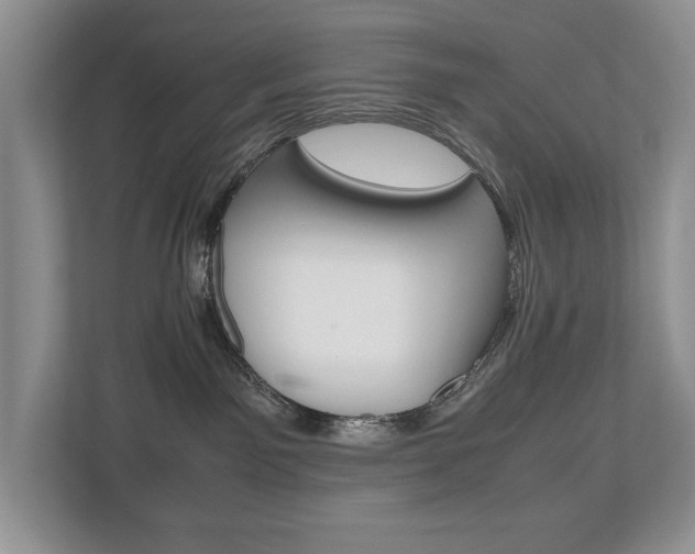 X0000112490141200908170959