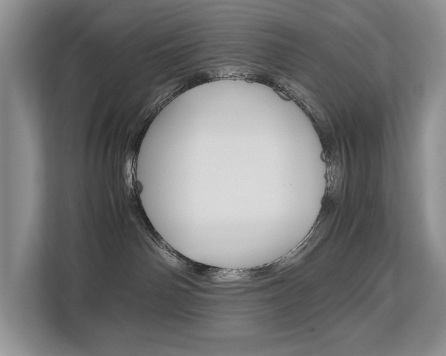 X0000112490142200908170959
