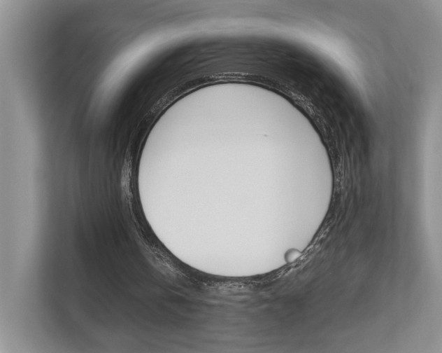 X0000112490146200908170958
