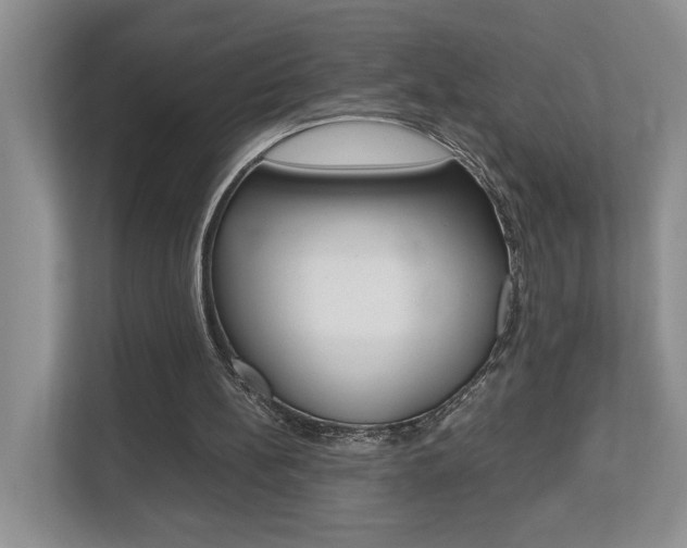 X0000112490148200908170958