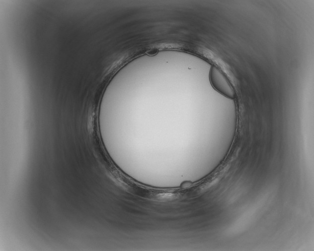 X0000112490153200908170958
