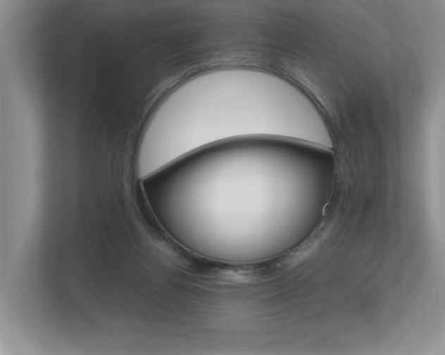 X0000112490164200908170958