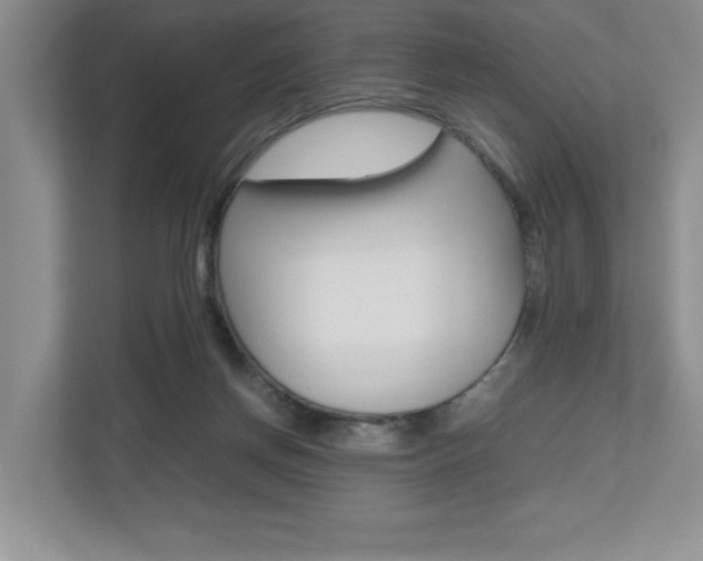X0000112490166200908170958