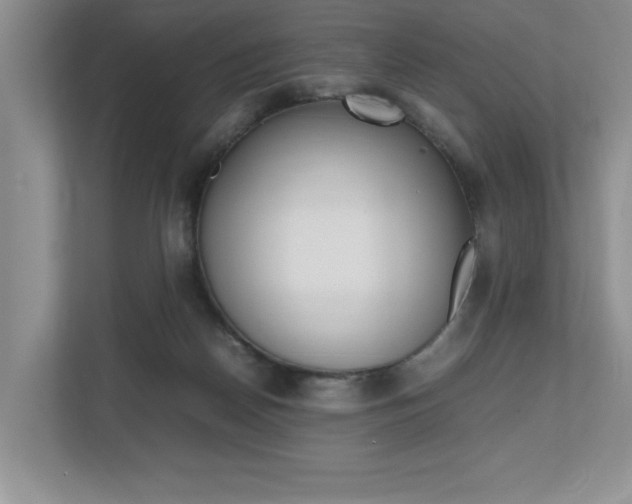 X0000112490170200908170958