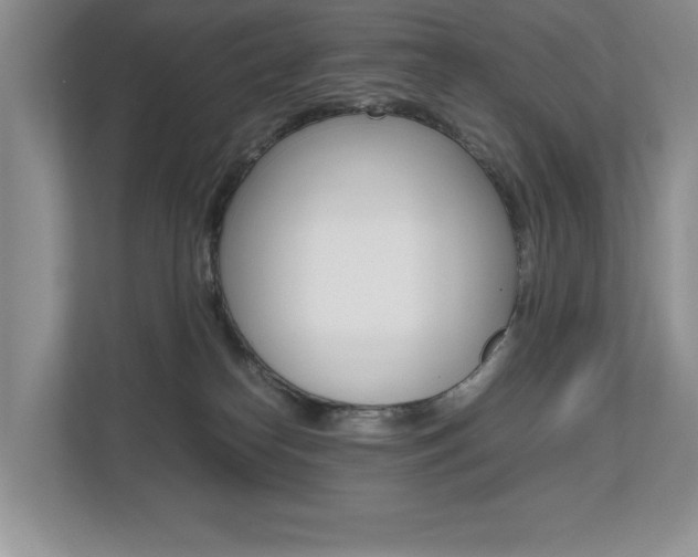 X0000112490182200908170958