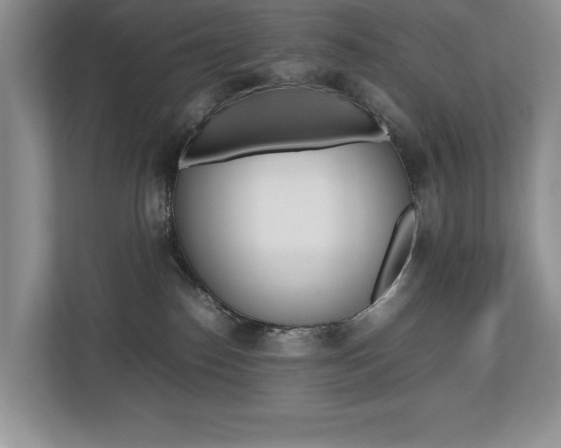 X0000112490186200908170958