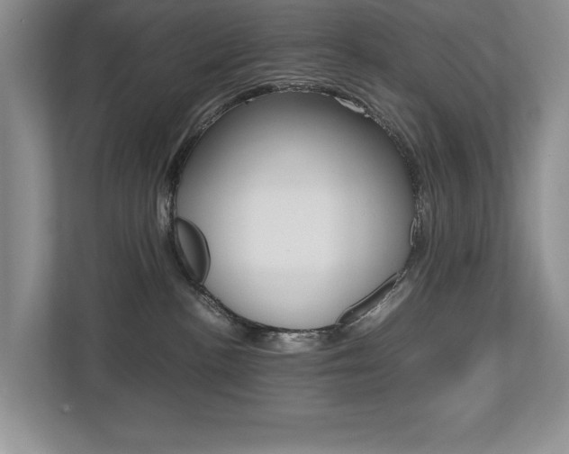 X0000112490188200908170958