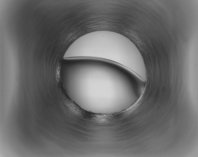 X0000112490190200908170958