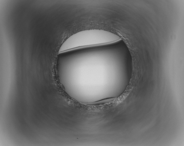 X0000112490192200908170959