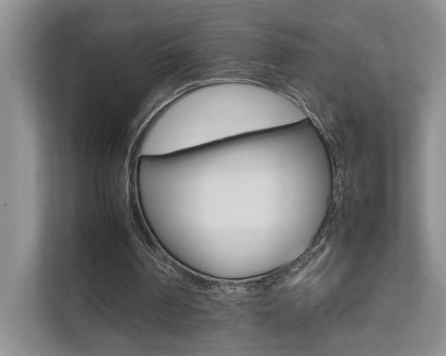 X0000112490194200908170958