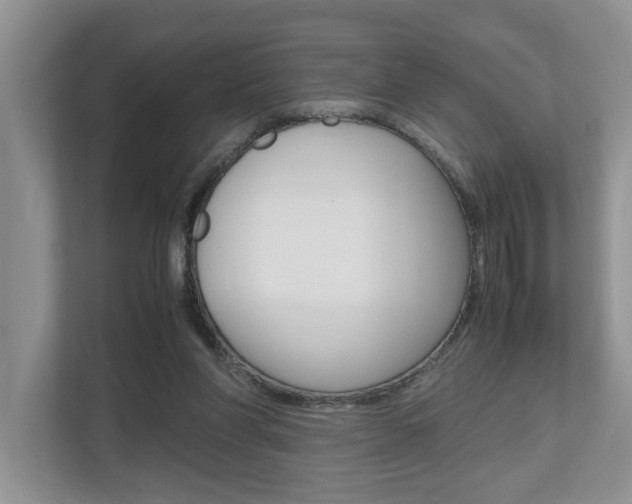 X0000112490206200908170958
