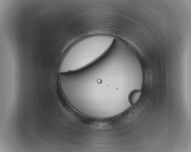 X0000112490208200908170958