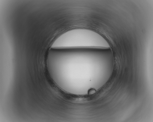 X0000112490212200908170958