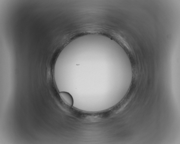 X0000112490213200908170958
