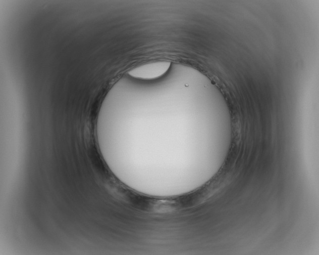 X0000112490222200908170958