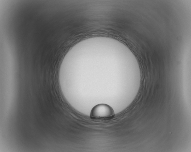 X0000112490223200908170957
