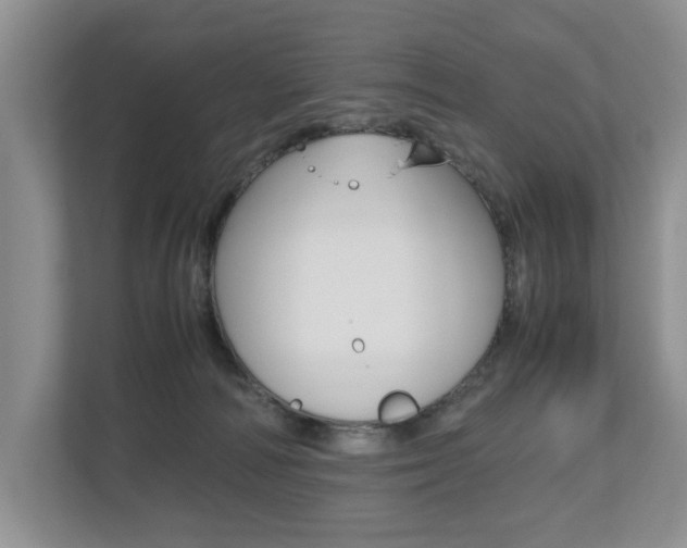 X0000112490226200908170957