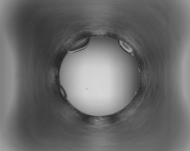 X0000112490229200908170957