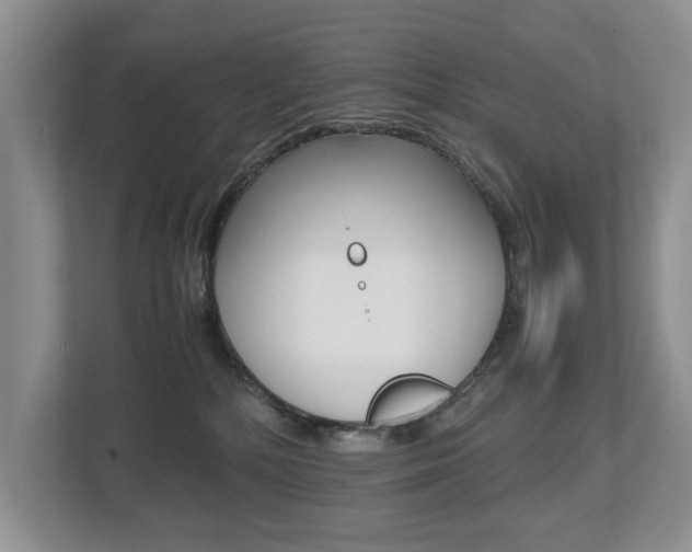 X0000112490232200908170957