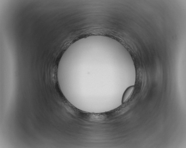 X0000112490234200908170957