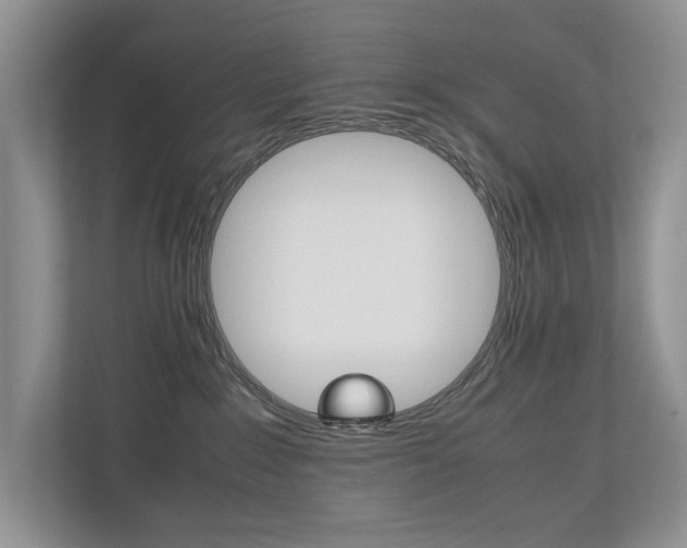 X0000112490235200908170957