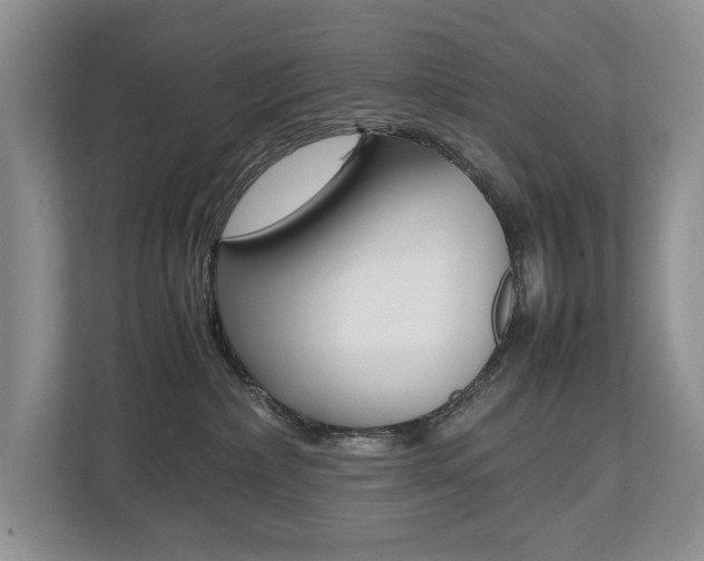 X0000112490236200908170957