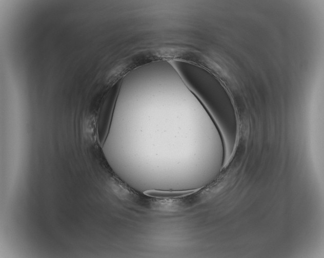 X0000112490237200908170957