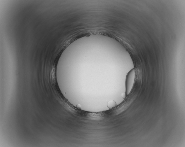 X0000112490238200908170957