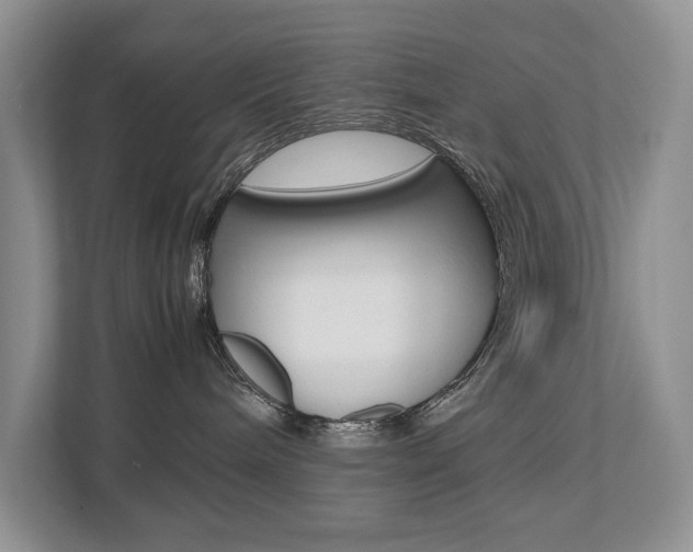 X0000112490240200908170957