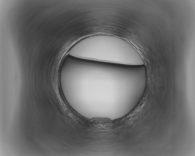 X0000112490241200908170957