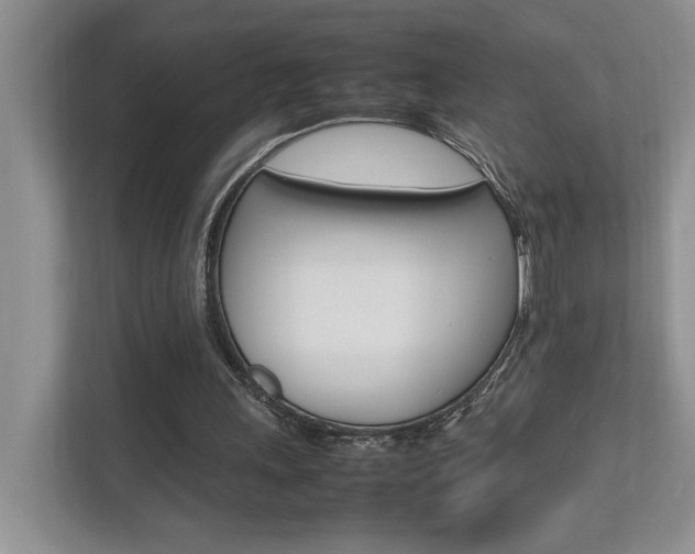 X0000112490243200908170957