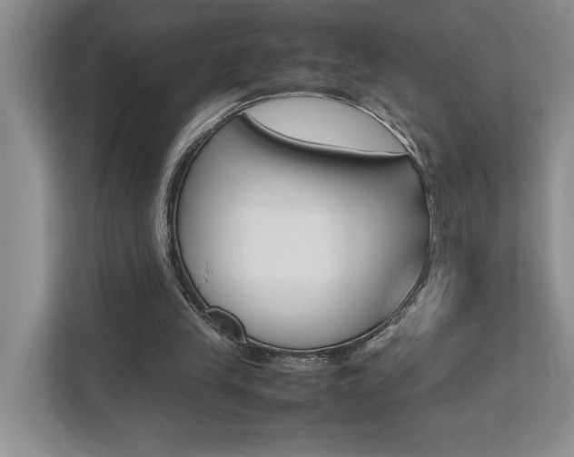 X0000112490245200908170957