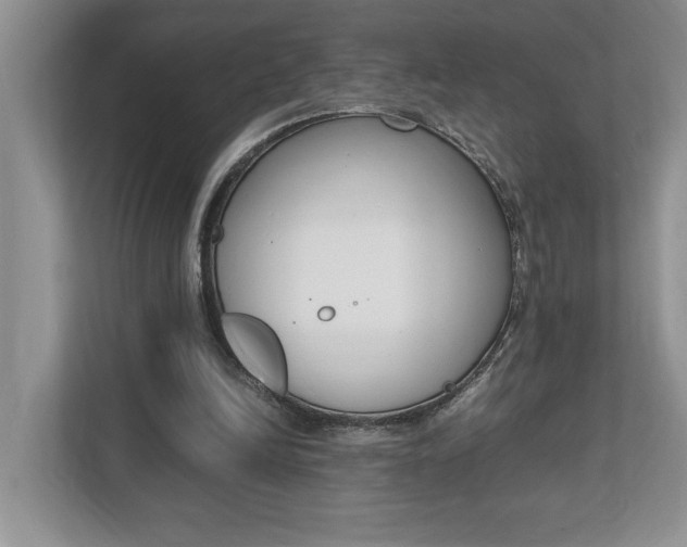 X0000112490246200908170957
