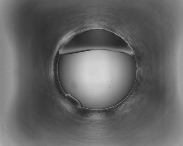 X0000112490248200908170957
