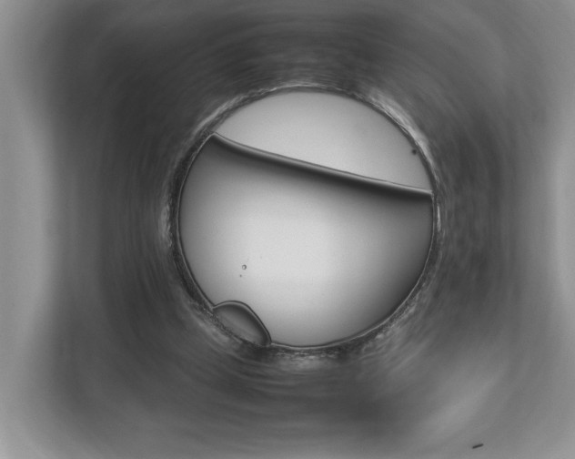 X0000112490249200908170957
